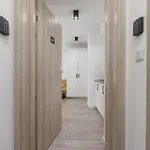 Cracow Miodowa 42 Elegant Studios By Noclegi Renters